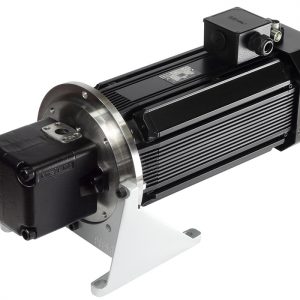 Synchronservomotor mit Flügelzellenpumpe Synchronservomotor mit Flügelzellenpumpe